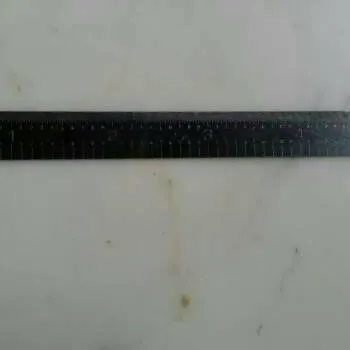 6 Inch Scale photo 1