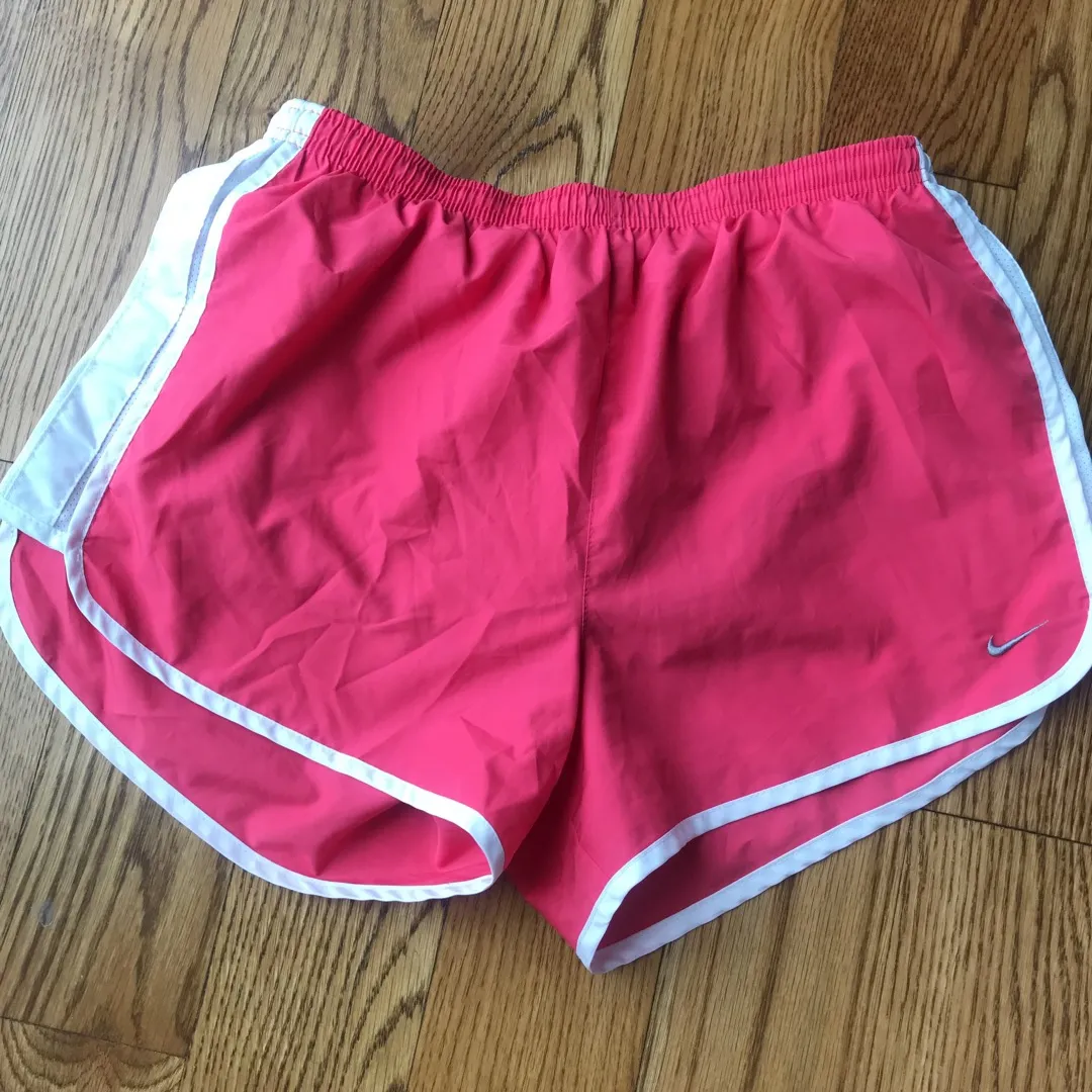 Nike Dri-Fit Shorts With Liner photo 1