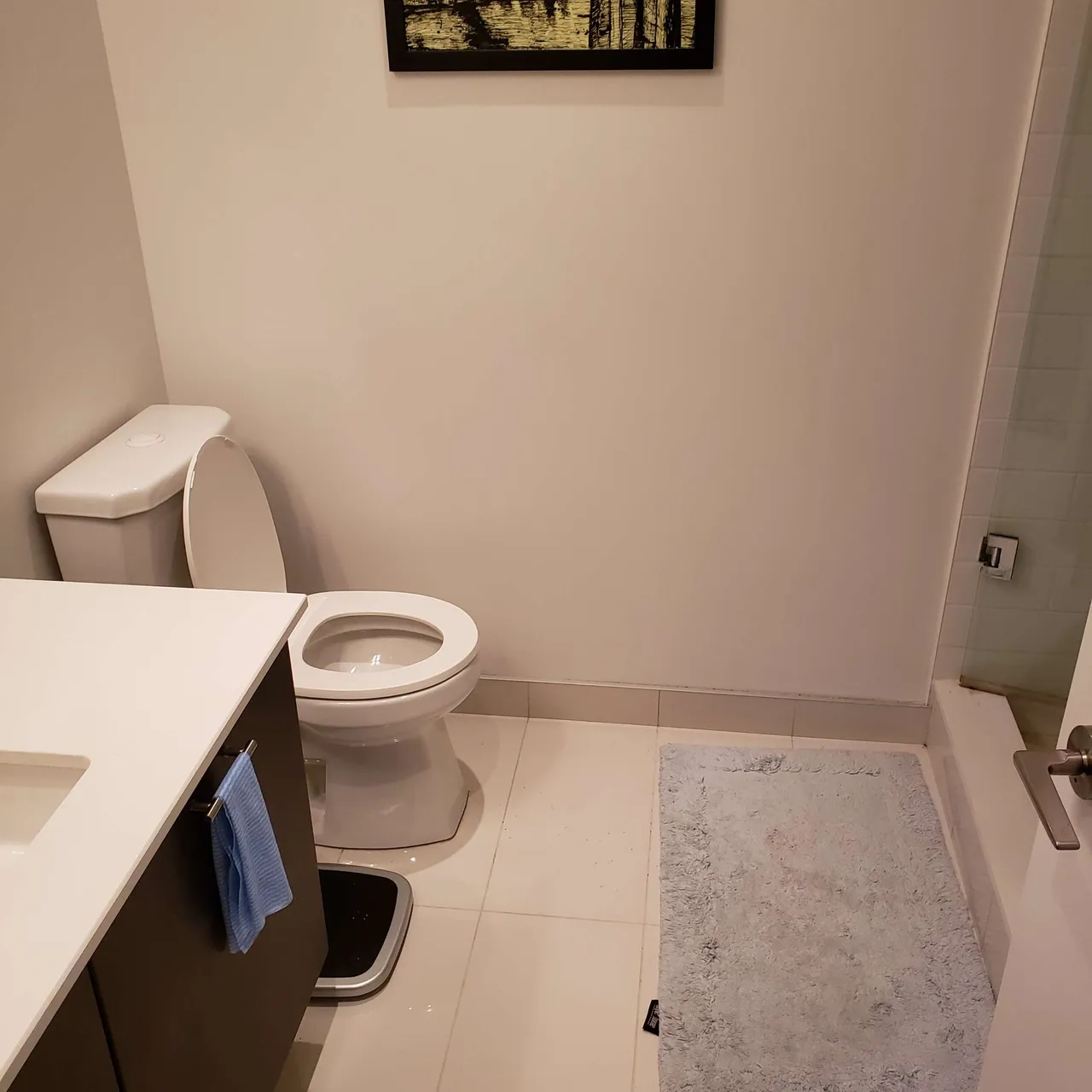 Looking for Roommate!! Downtown Toronto. $1,290/month. 2 bed/... photo 5