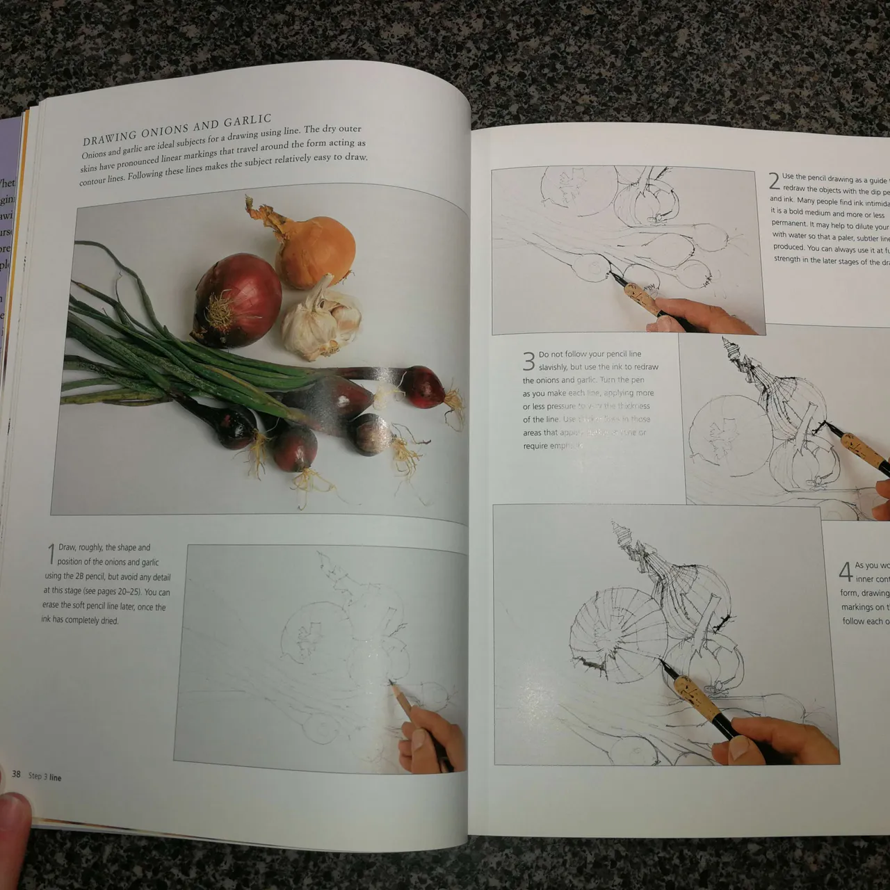 Drawing in 10 Steps book, introduction to drawing, by Ian Sid... photo 5