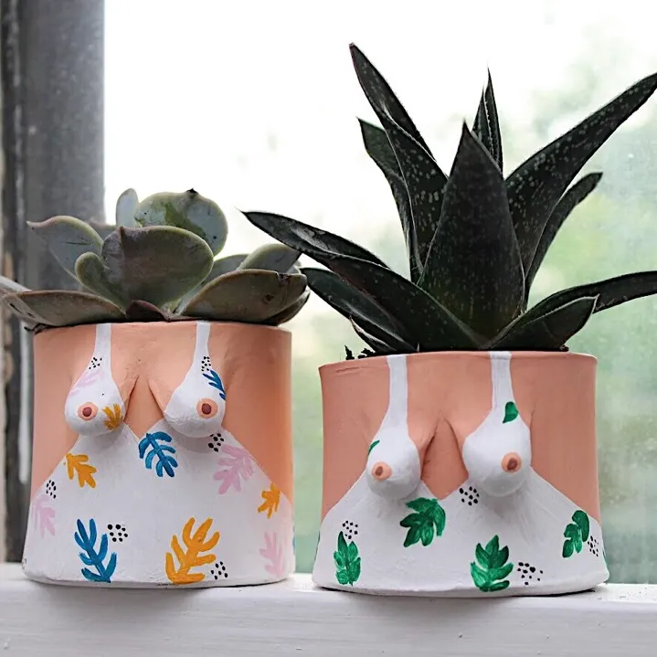 Mini Patterned Boob Pots with Succulents! photo 1