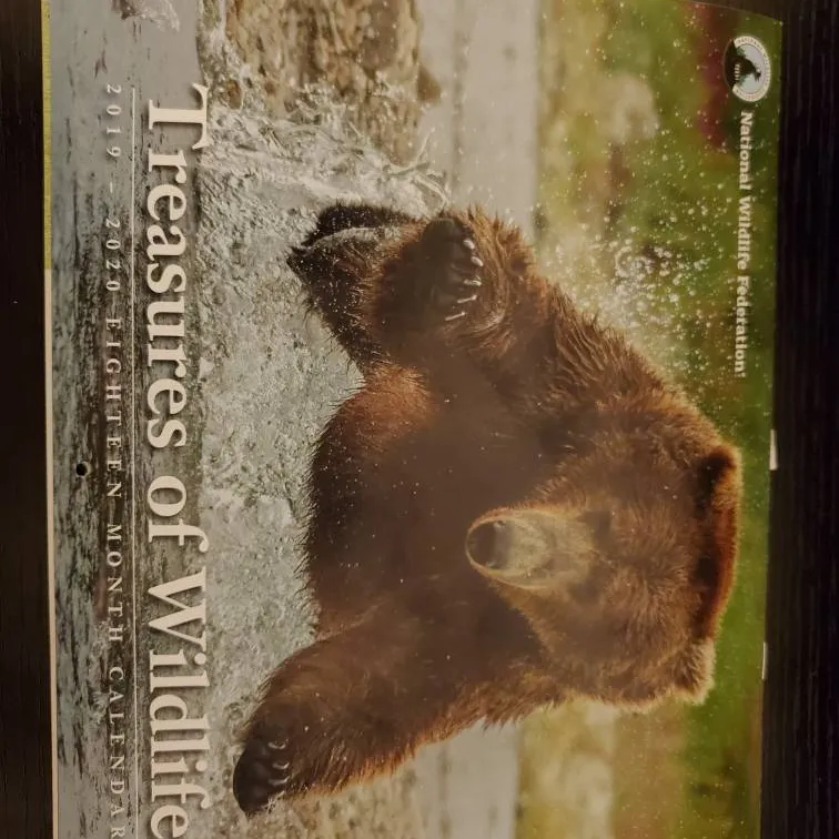 Free 2019 wildlife Calendar photo 1