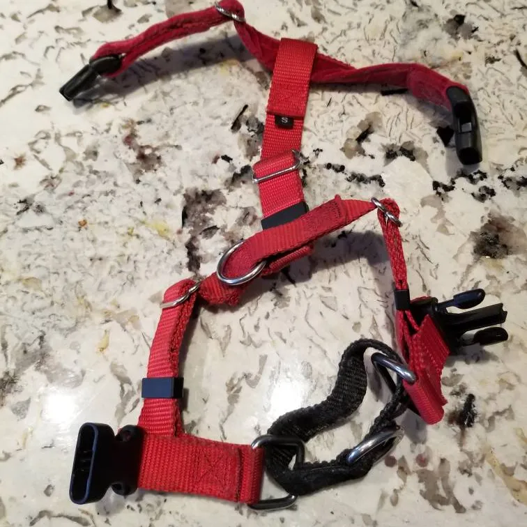 Small Sturdy Red Dog Harness photo 1