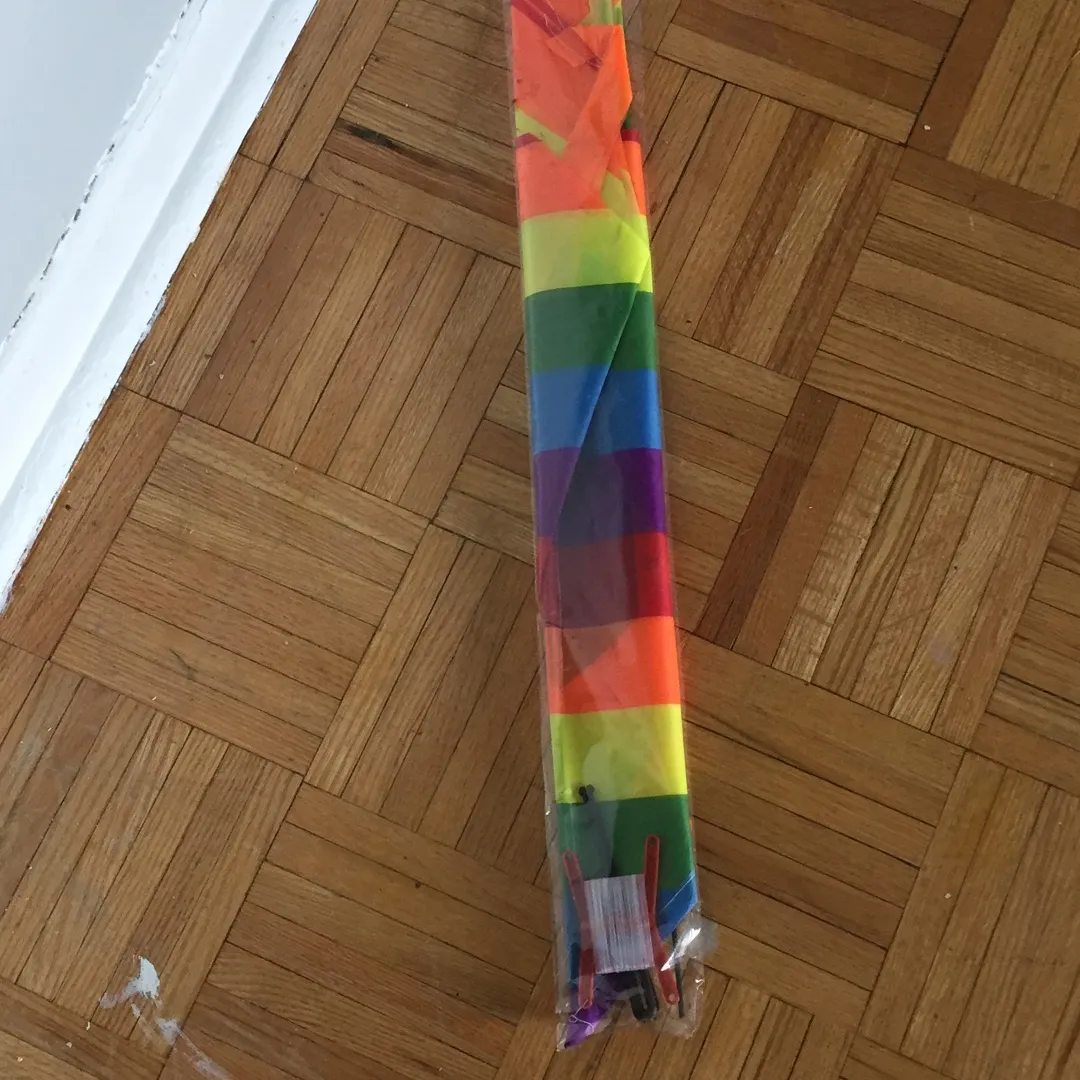 Rainbow Kite! photo 1
