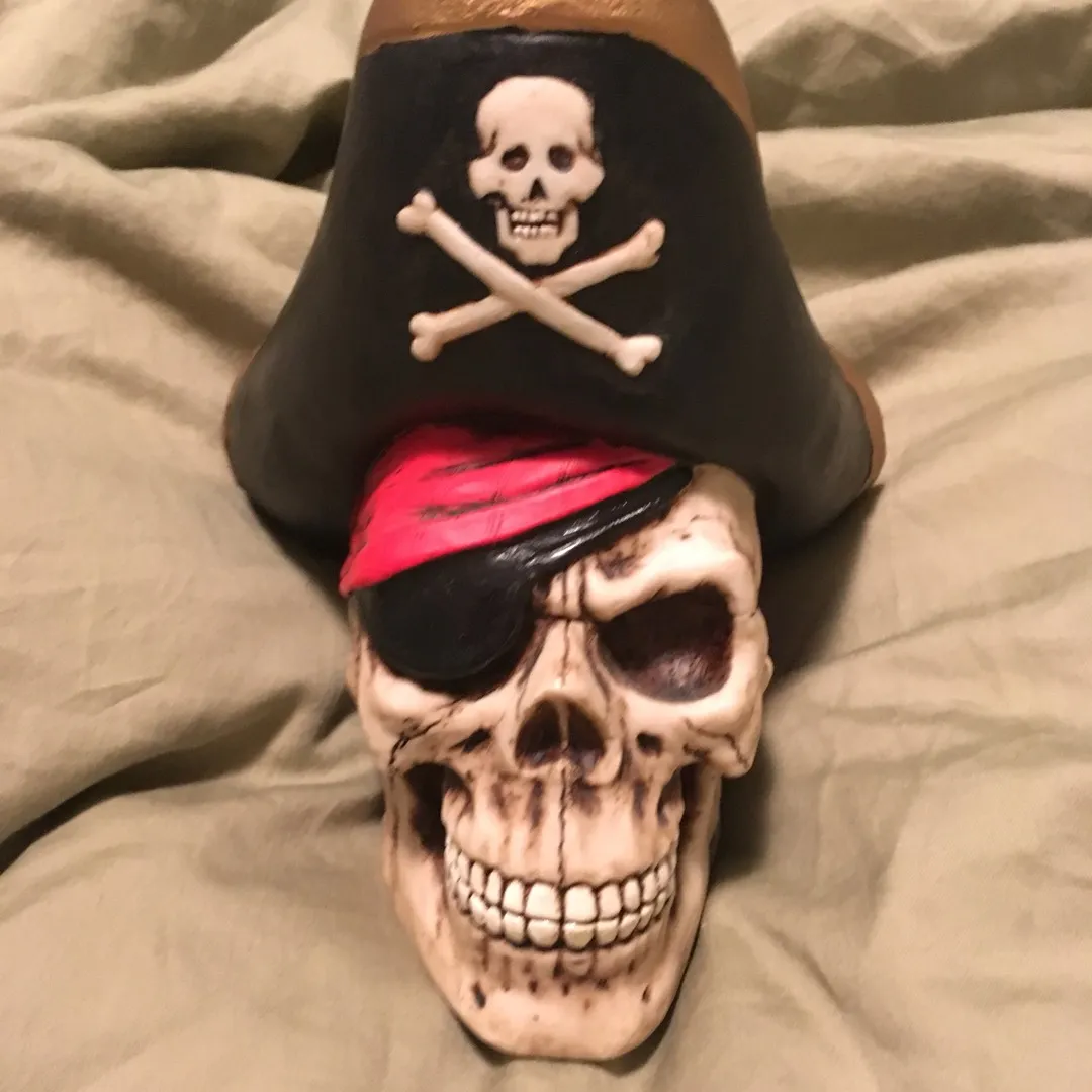 Pirate skull Piggy Bank photo 1