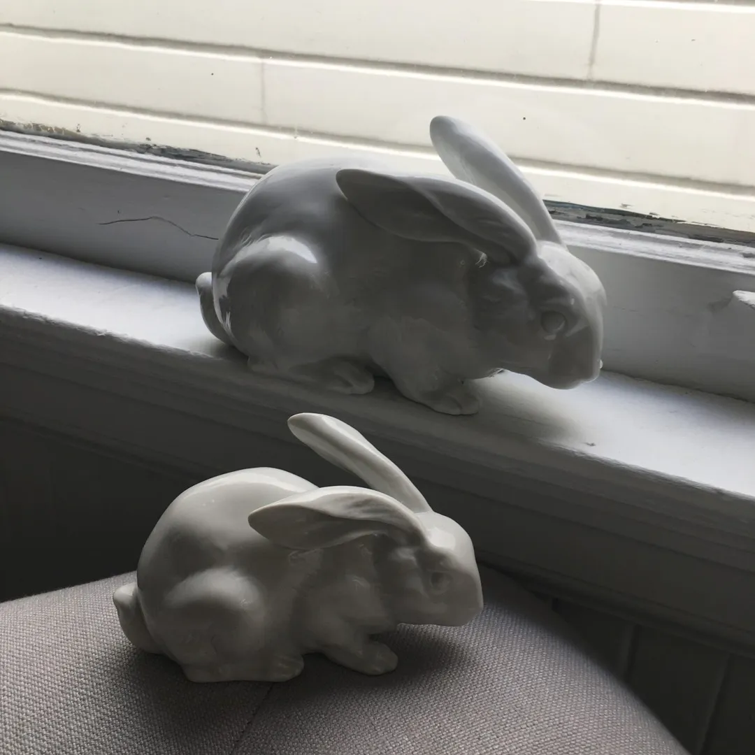 Porcelain Rabbits photo 1