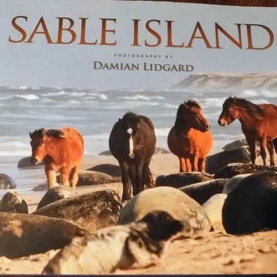 Sable Island Coffee Table Book photo 1