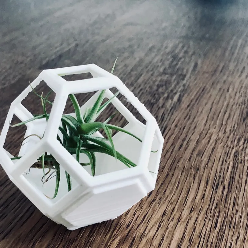 3D Printed Planters 🌱 photo 1