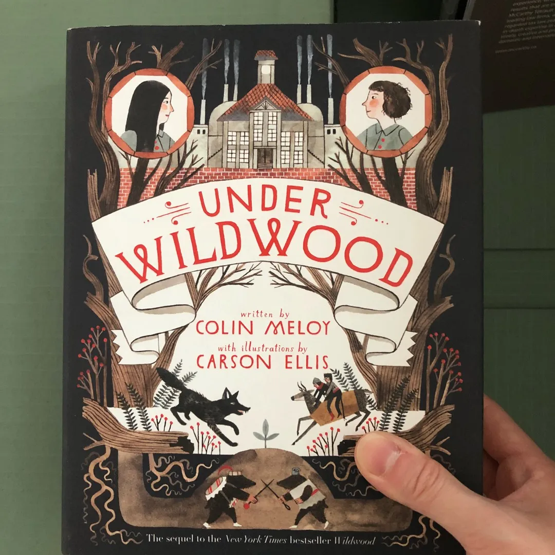 Under Wildwood - children’s book! photo 1