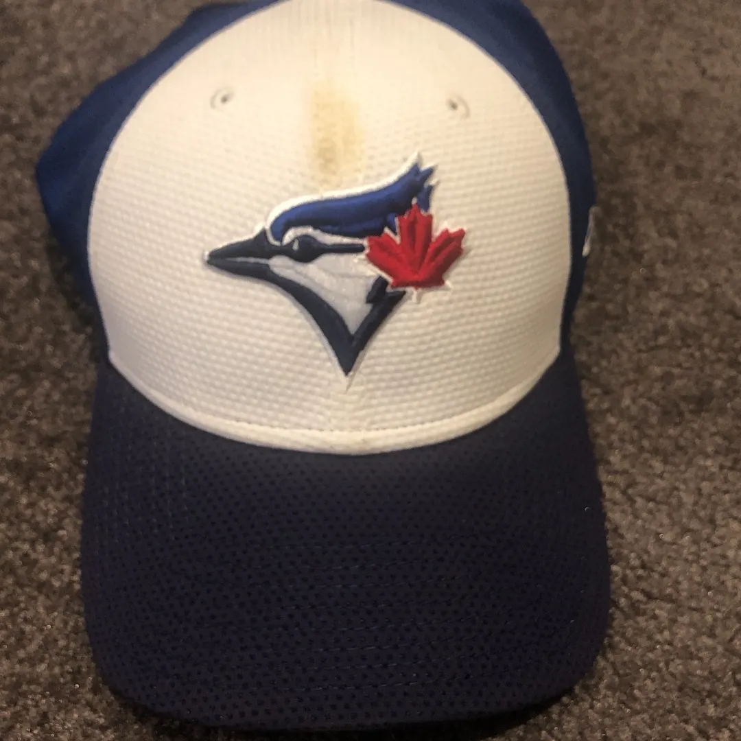 Jays Hat (with stain) photo 1