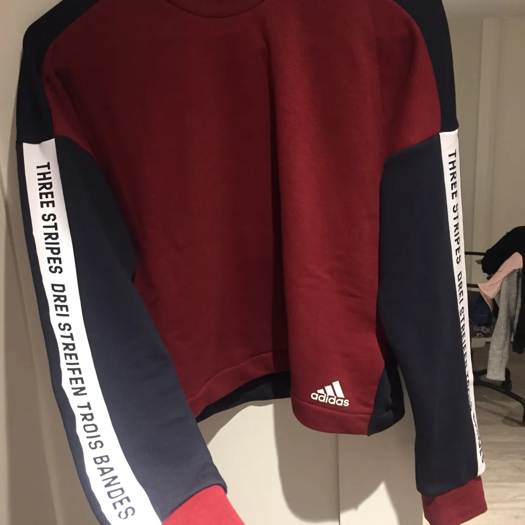 Adidas sweater photo 4