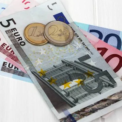 ISO Euro Currency photo 1