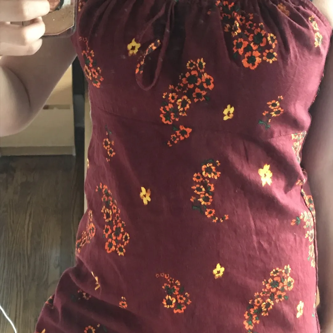 Urban Outfitters Sundress photo 3