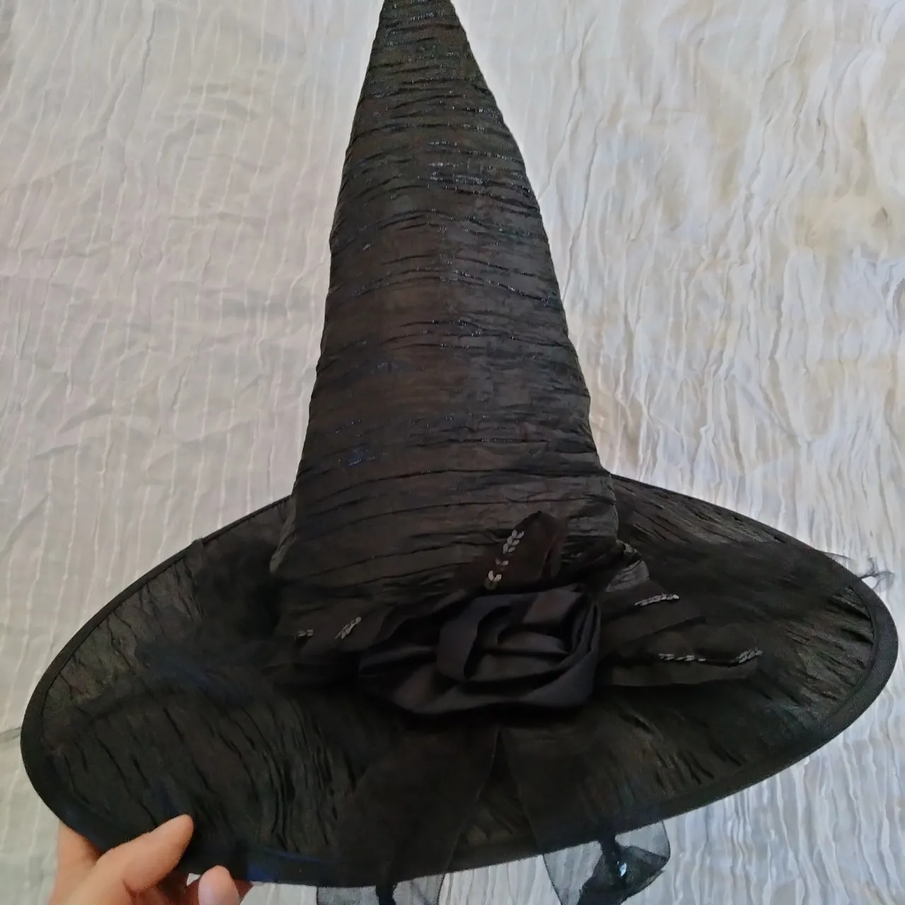 Witch hat and cape photo 1