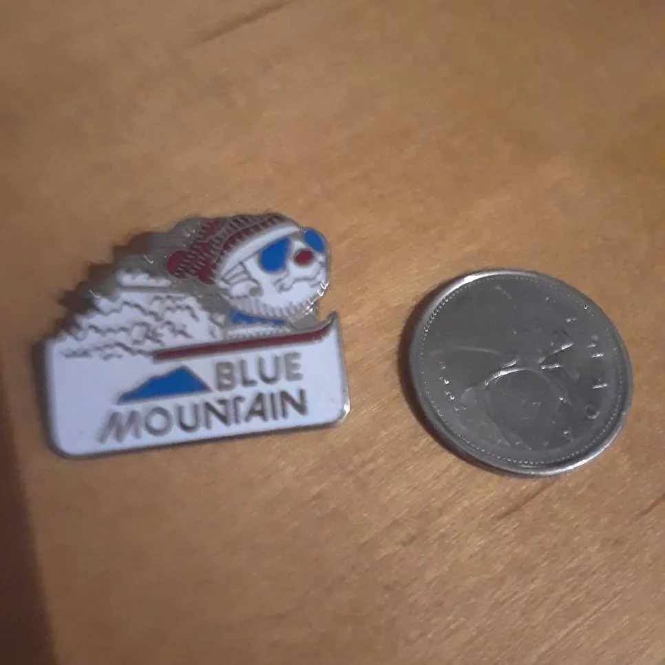 Vintage blue mountain button photo 1