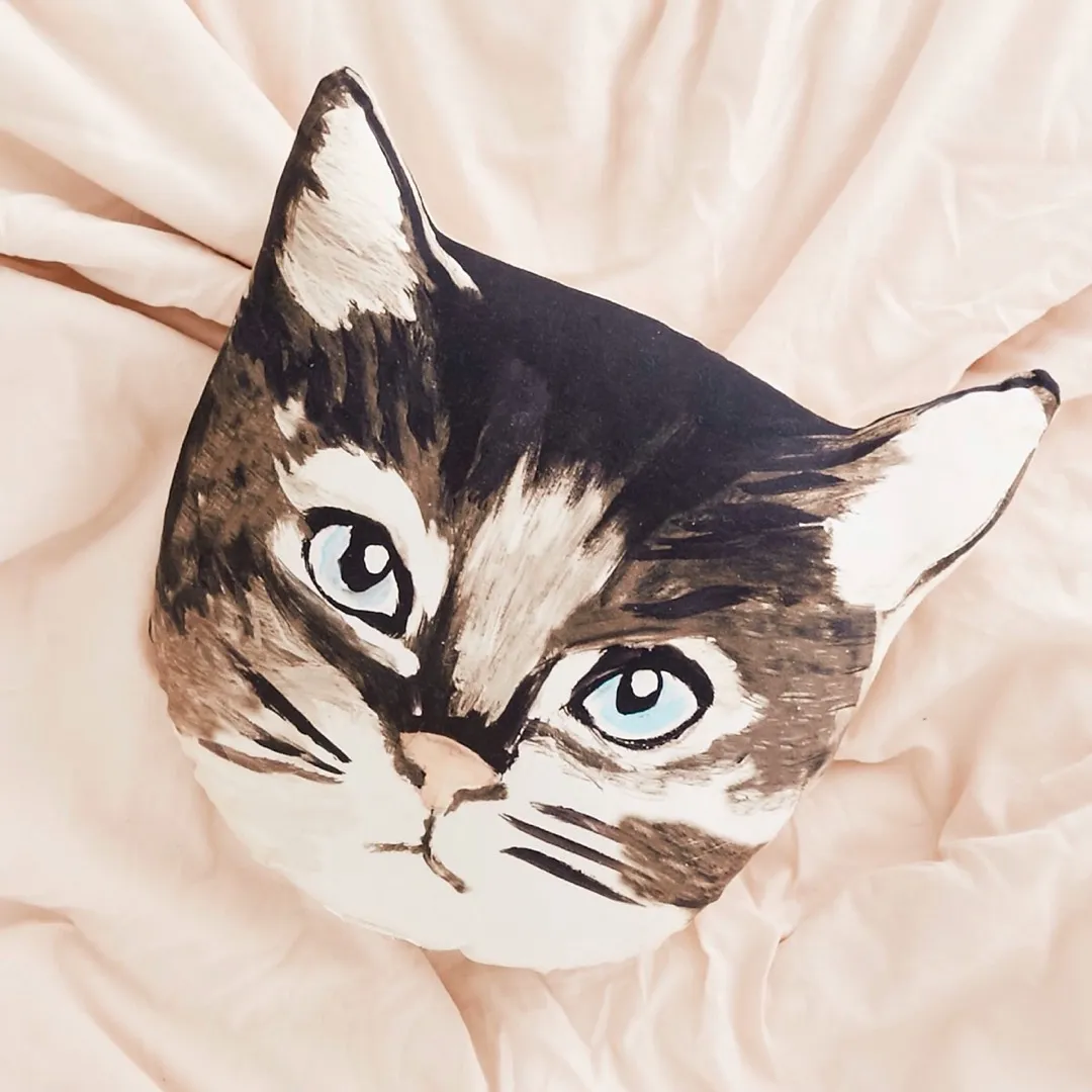 Urban Outfitters Cat Pillow photo 1