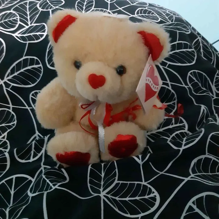 teddy bear photo 1