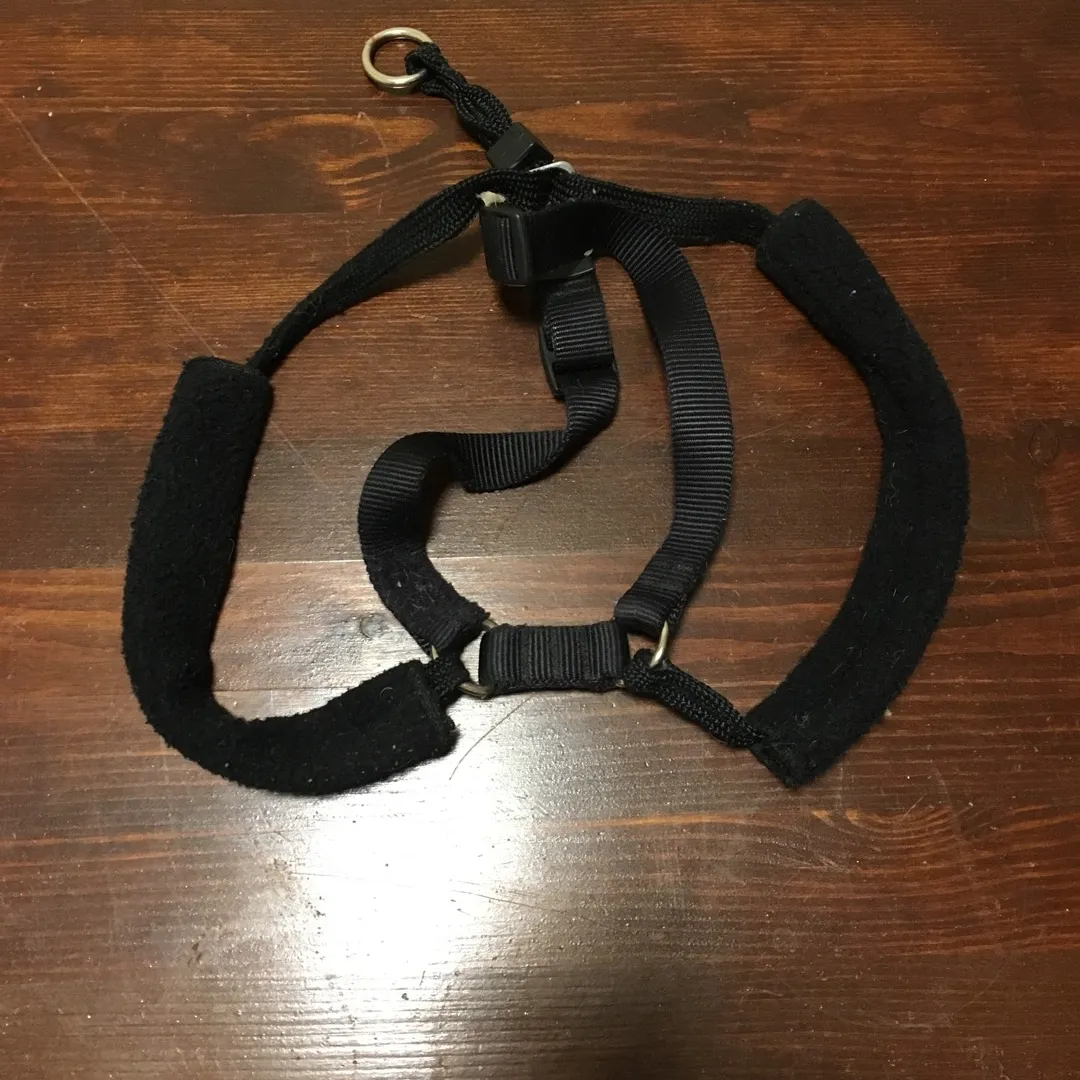 Dog Harness photo 1