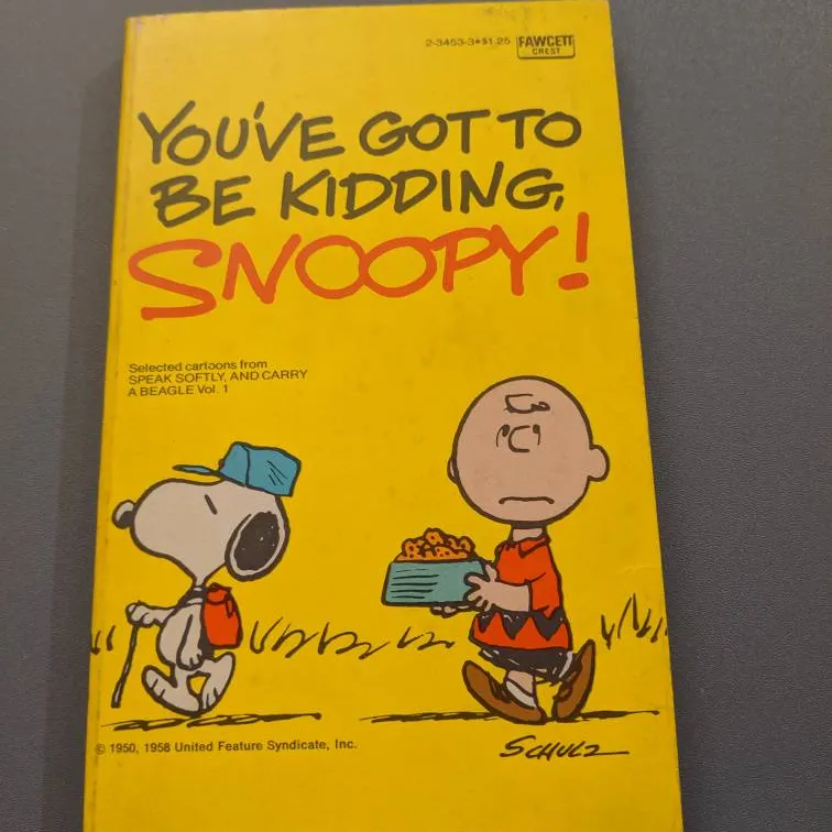 Charlie Brown Book photo 1