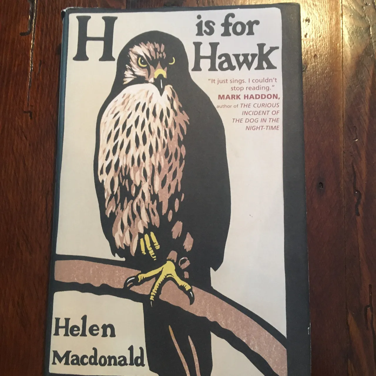 H is for Hawk photo 1