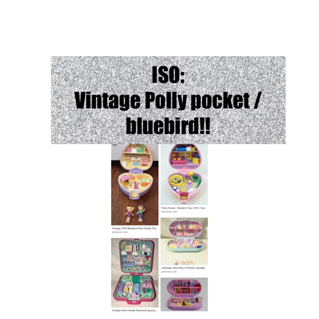 ISO Bluebird Polly Pocket photo 1