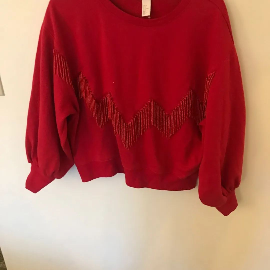 H&M Beaded Sweater photo 1