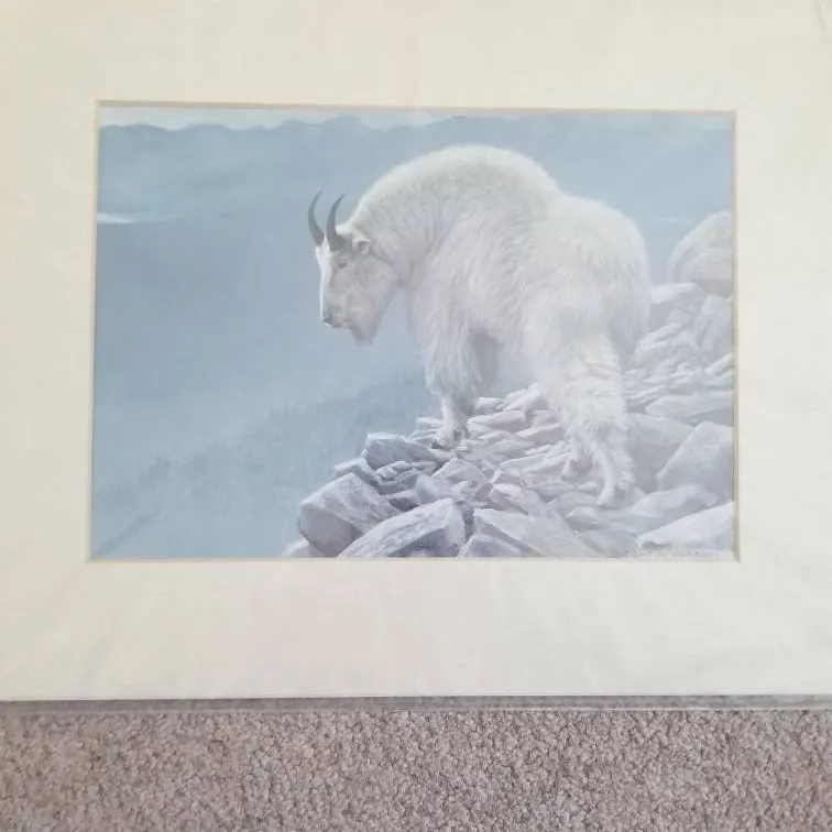 Robert Bateman Print "Mountain Goat at Kakwa" photo 1