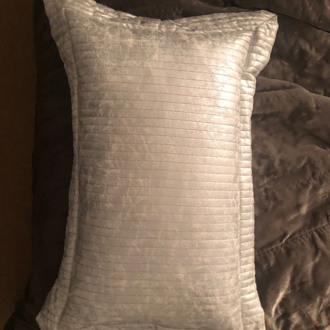 Silver Decorative Pillow photo 1