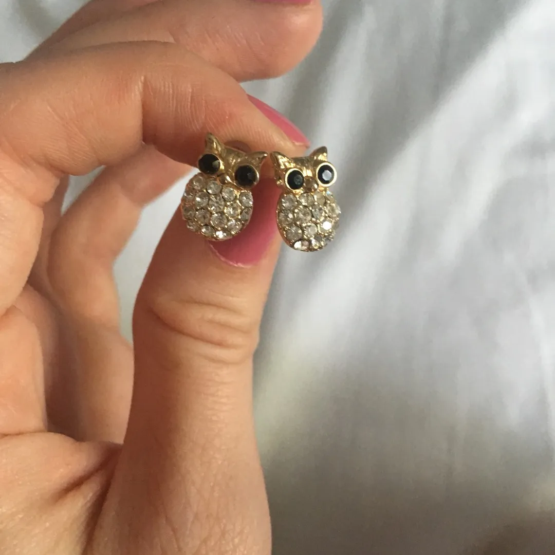 Owl Earrings photo 1