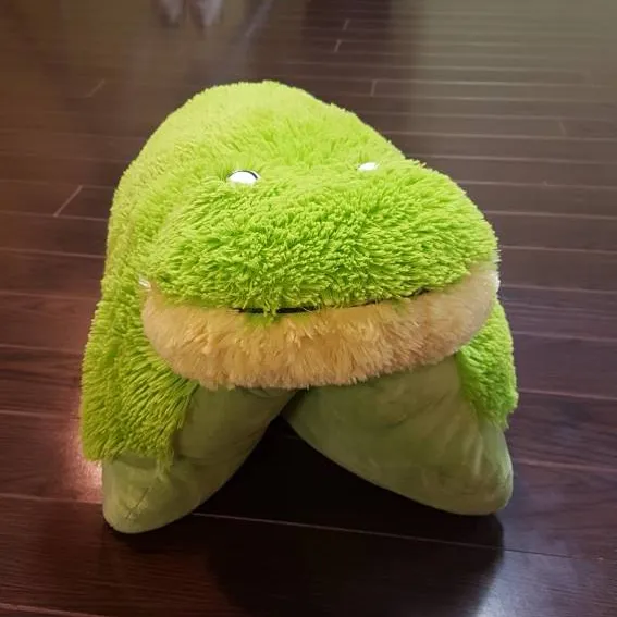 Zoopurr Frog Stuffed Animal And Pillow - Grenouille Zoopurr T... photo 3