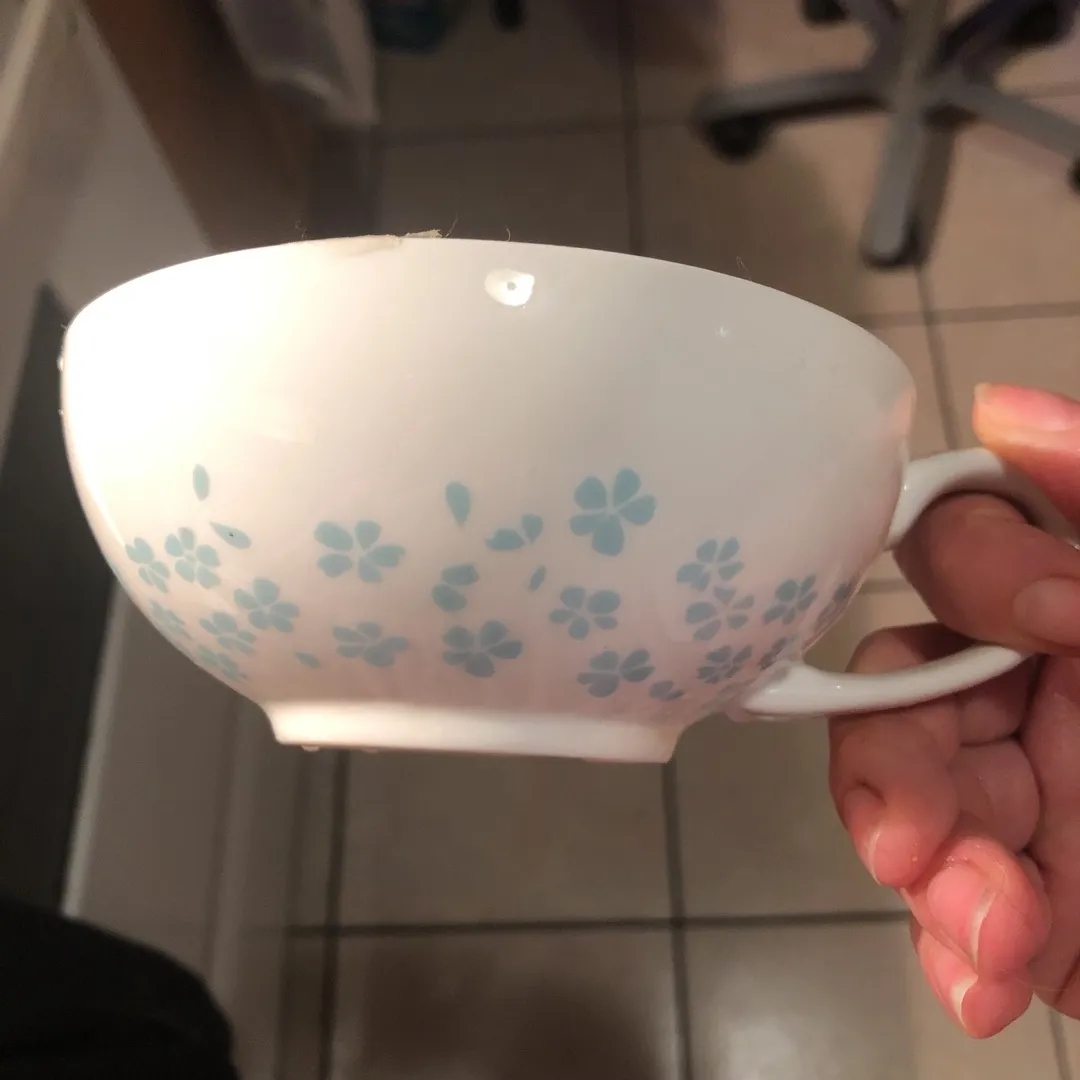 ISO this Teacup from david’s tea photo 1