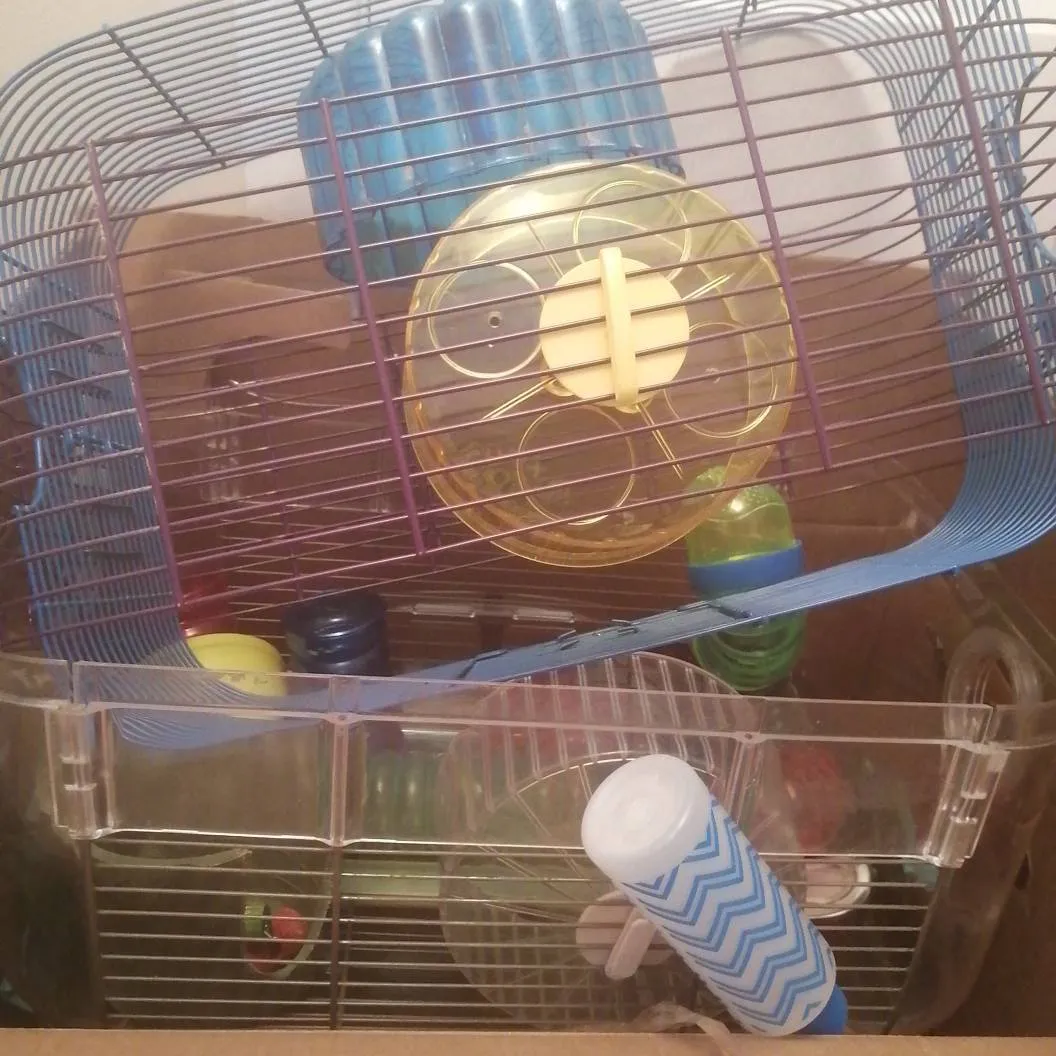 3 Entire Hamster Cages PLUS accessories photo 1