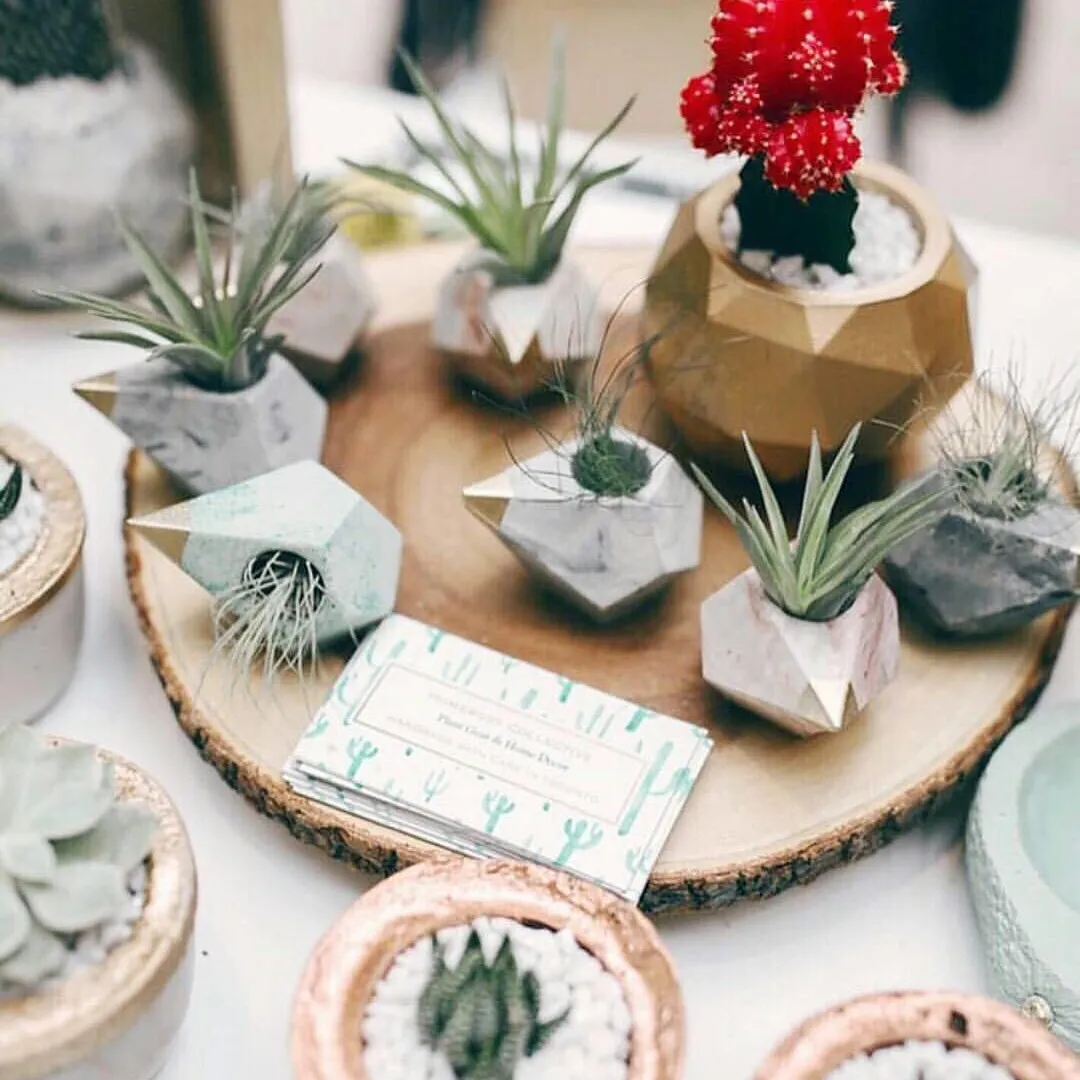 Trading handmade concrete Planters For Gift cards photo 1