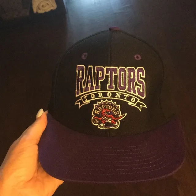 Toronto Raptors SnapBack photo 1