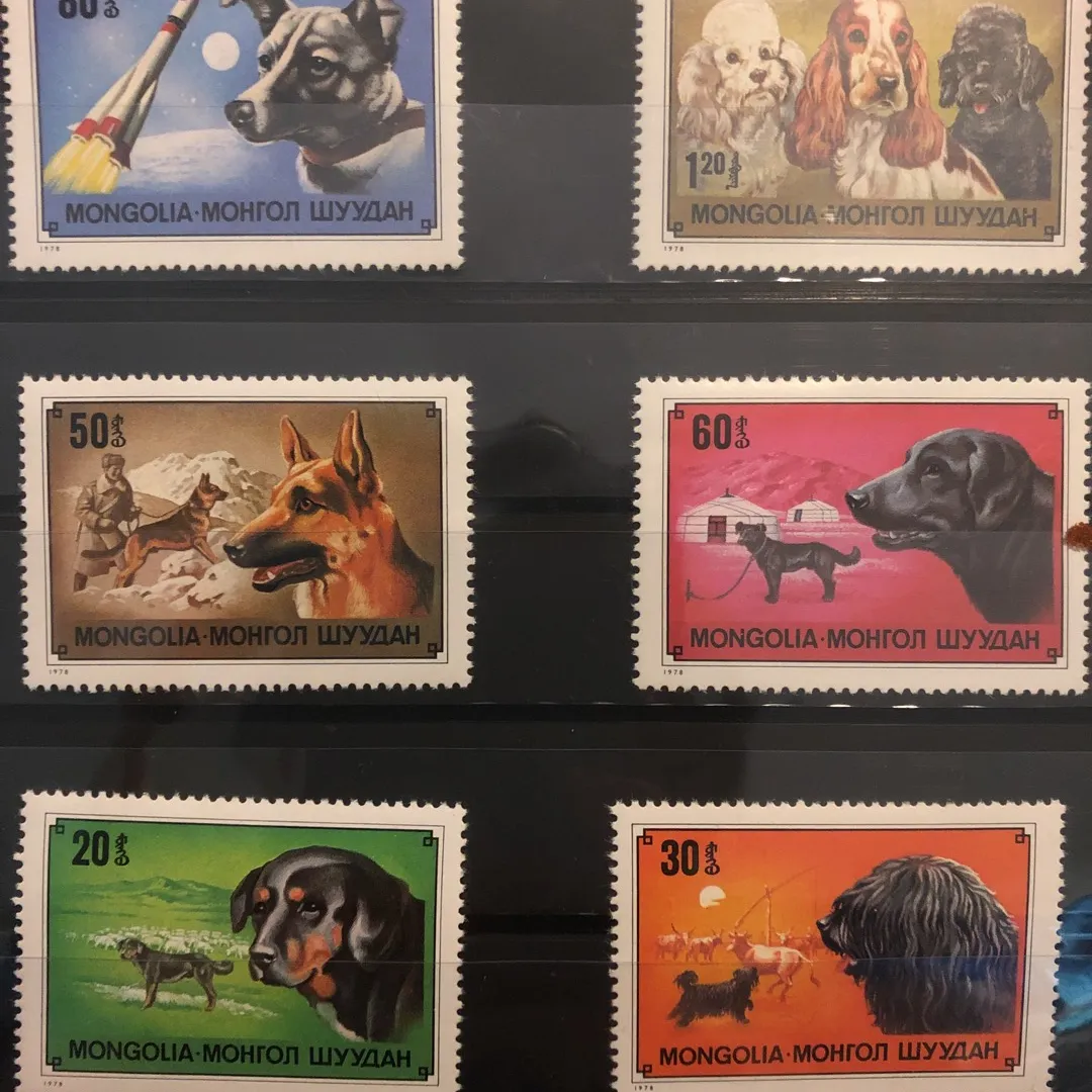 9 Mongolia Dogs Postage Stamps photo 1
