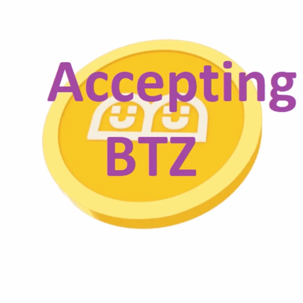 ACCEPTING BTZ ON (MOST) ITEMS photo 1
