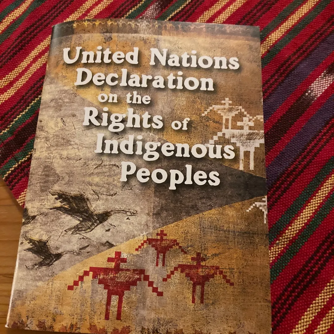 Pocket Guide To UNDRIP photo 1