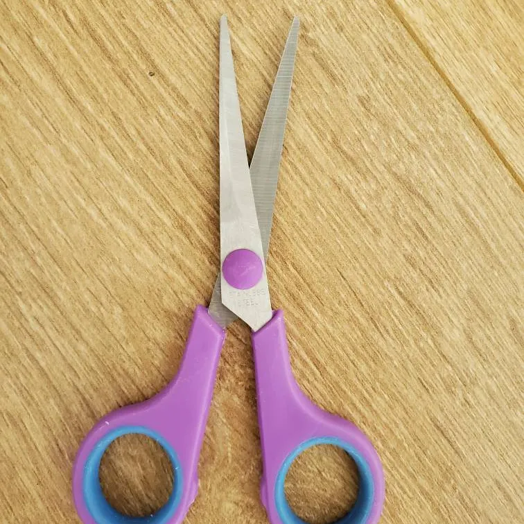Small Pair Of Scissors photo 1