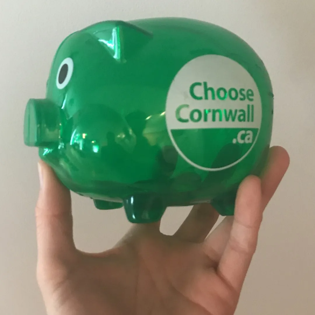 “Choose Cornwall” piggy bank photo 1