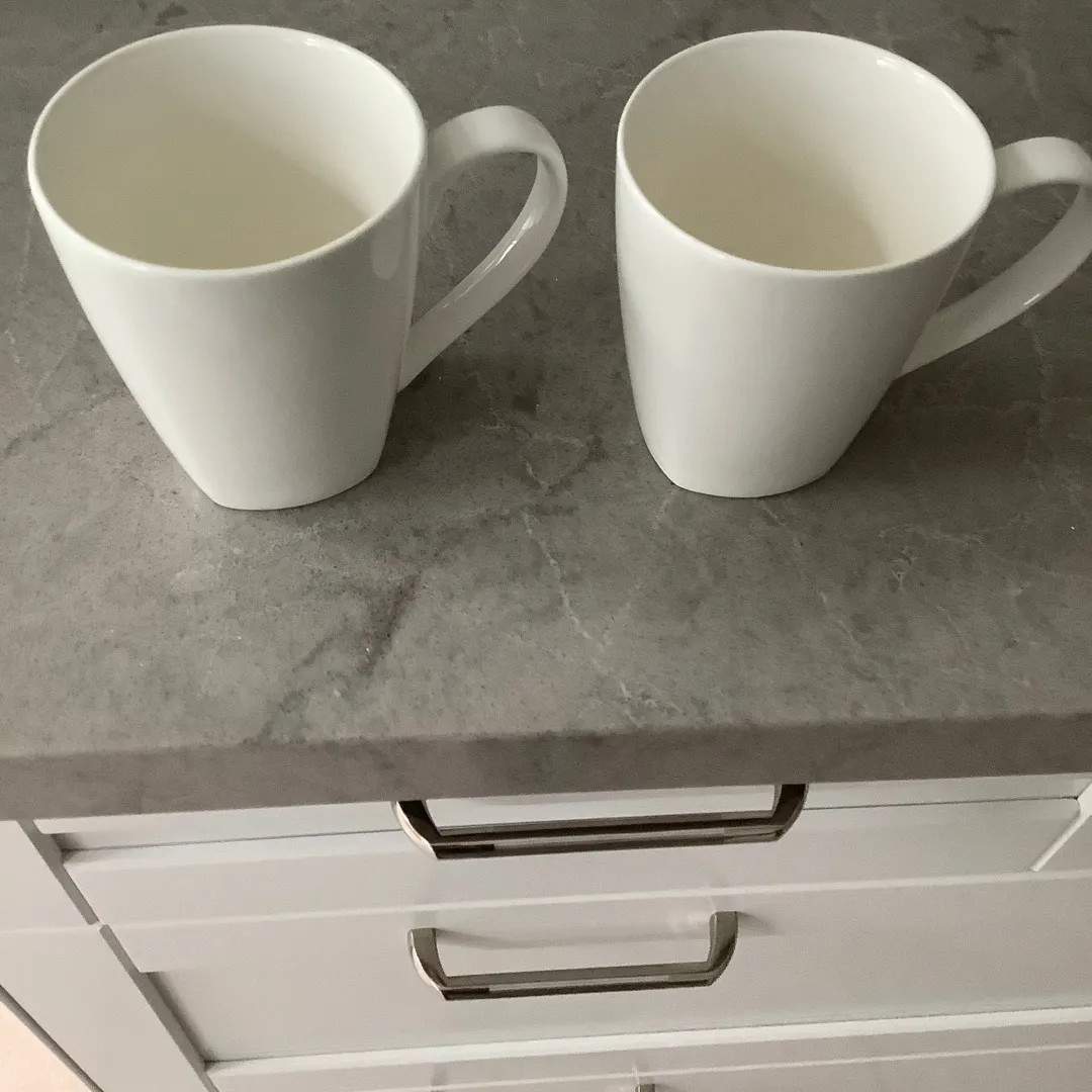 A Pair Of Fine Porcelain Mugs photo 1