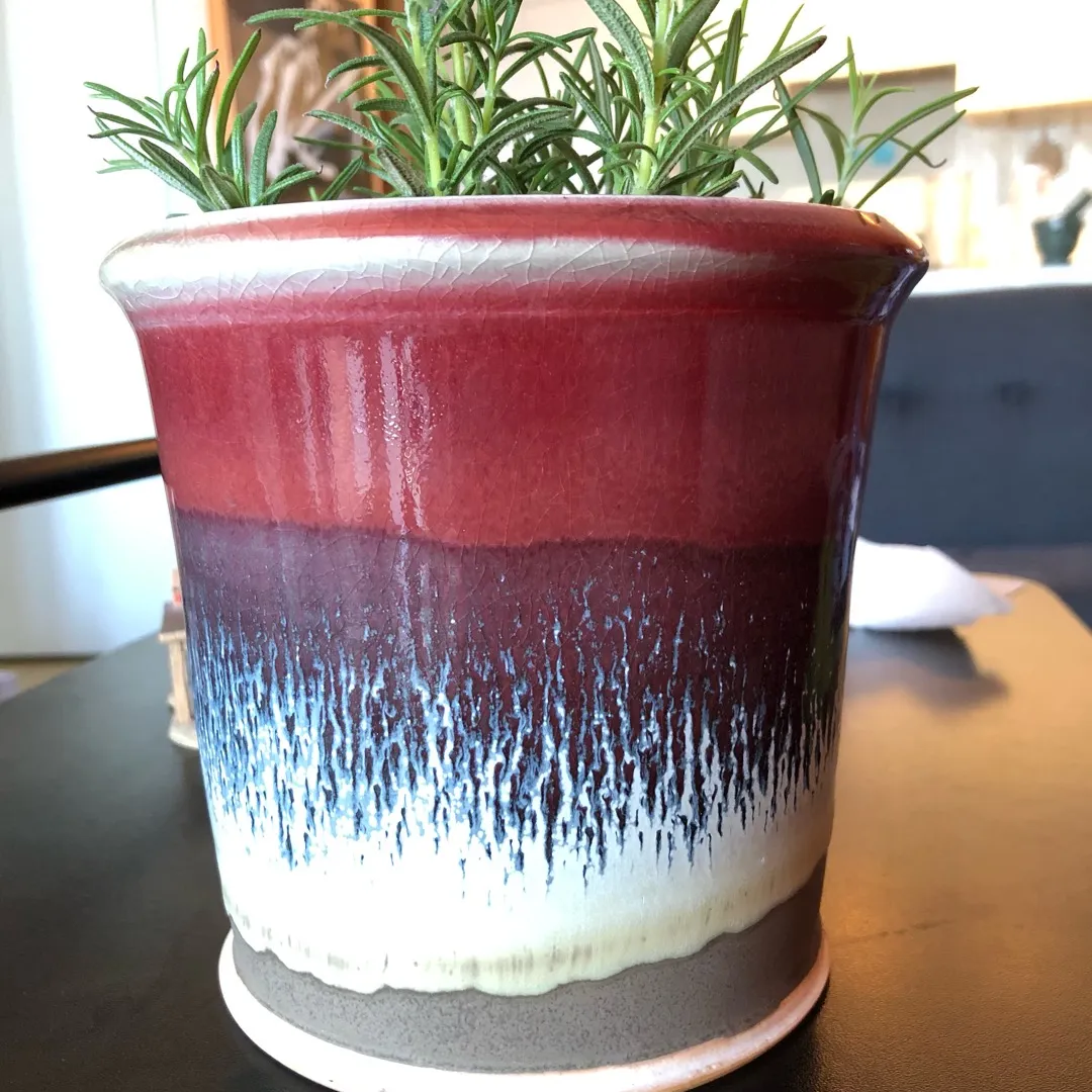 Planter from local pottery shop photo 1