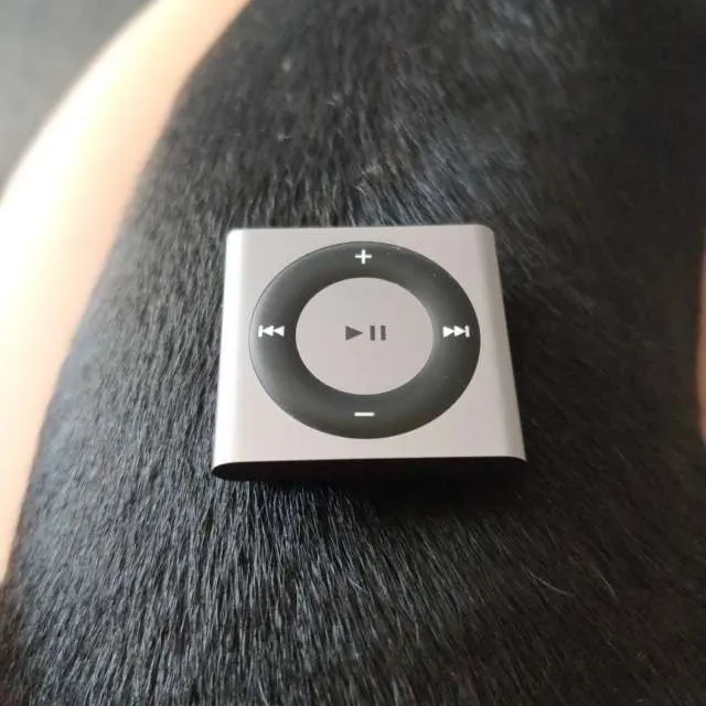 iPod Shuffle 2GB 4th Generation Space Grey photo 1