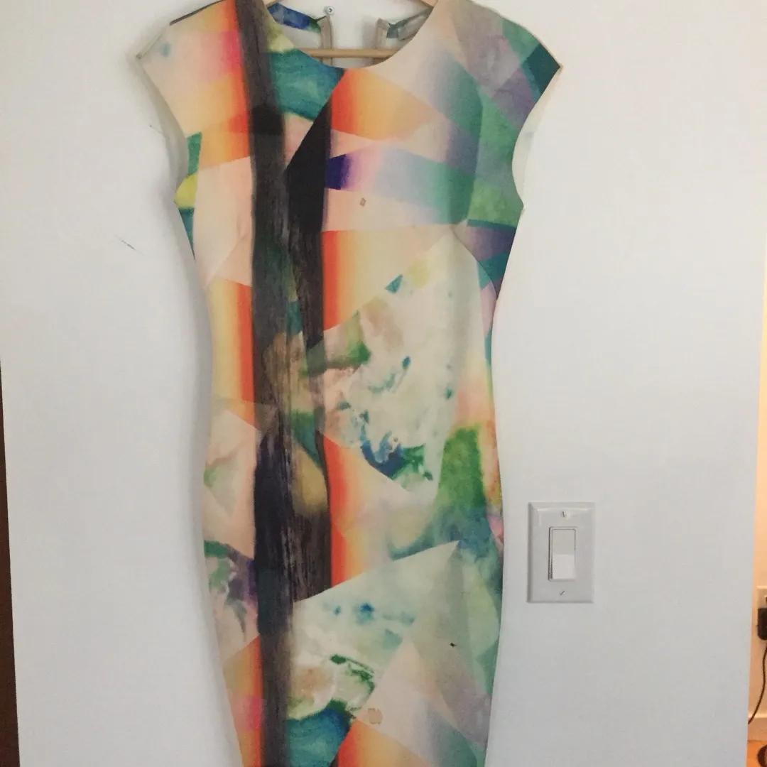 Artistic Fitted Dress photo 1