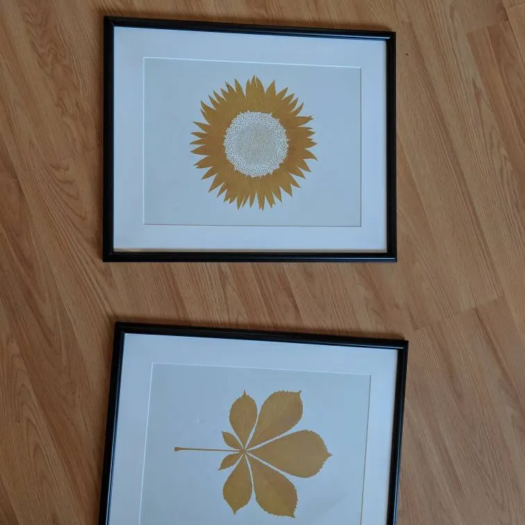 Framed Gold Leaf Prints photo 1