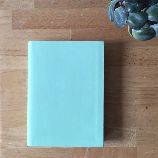 Pastel Mint Coloured Lined Notebook photo 3