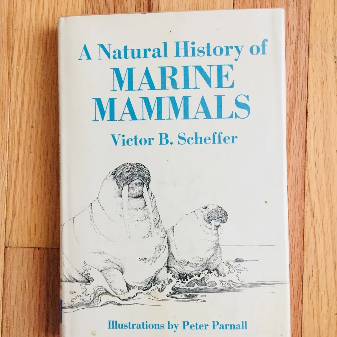 Old Illustrated Book, Marine Mammals photo 1