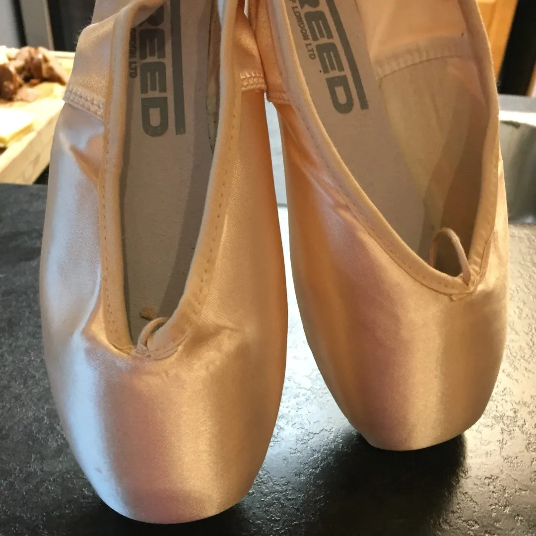 Pointe Ballet Shoes photo 1