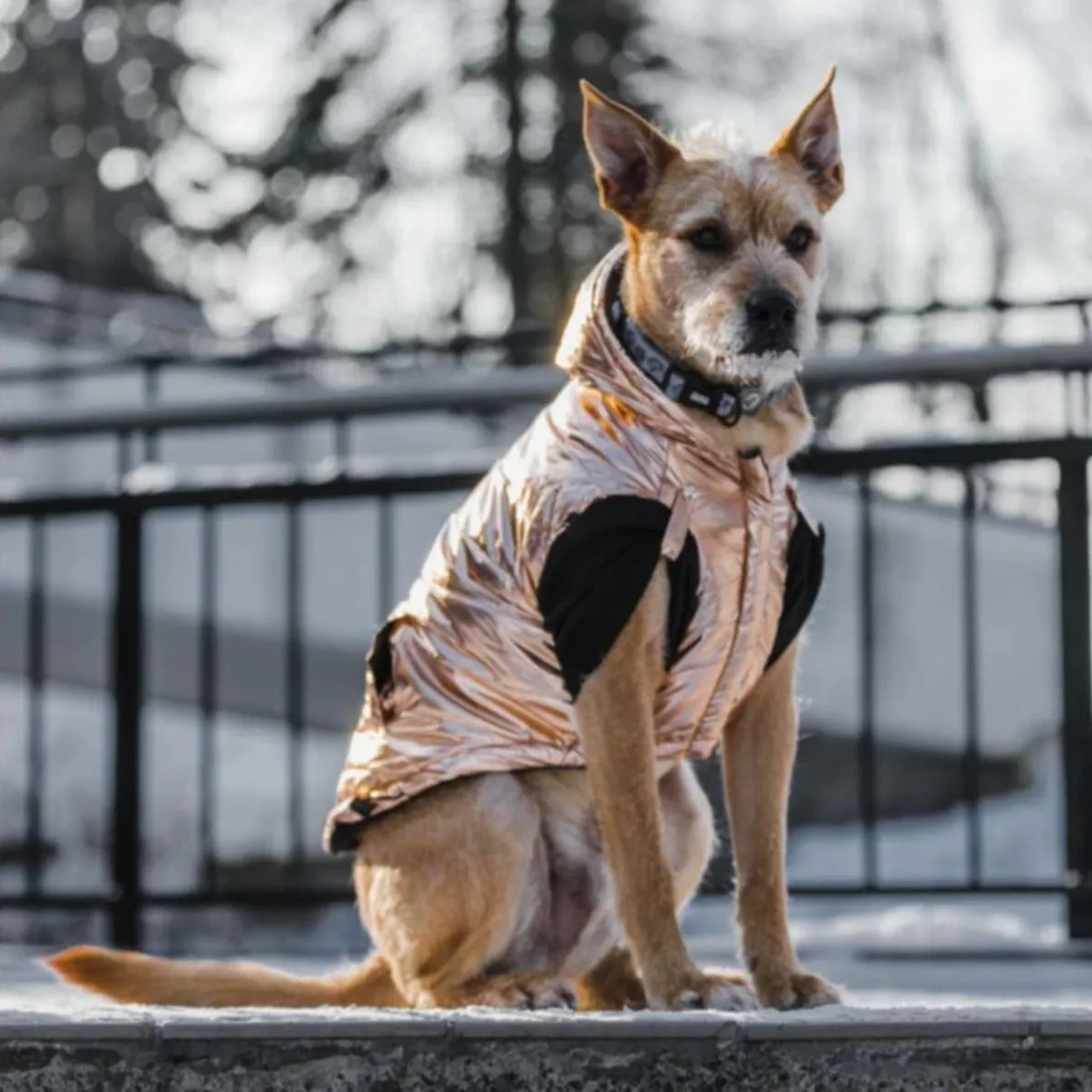 Copper Metallic Dog Puffer Jacket photo 1