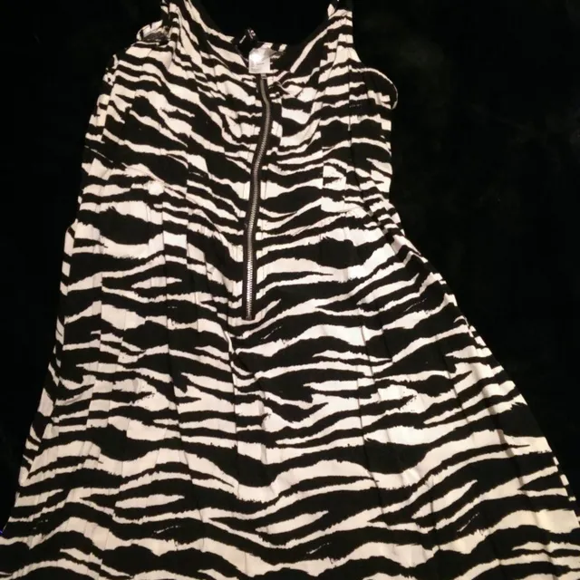 Sz 6 H&M Zebra Dress photo 1