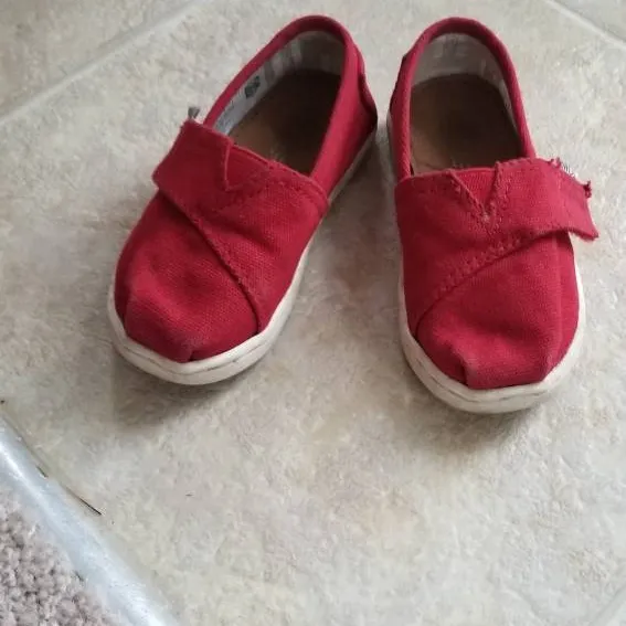 TOMS for Toddlers photo 1